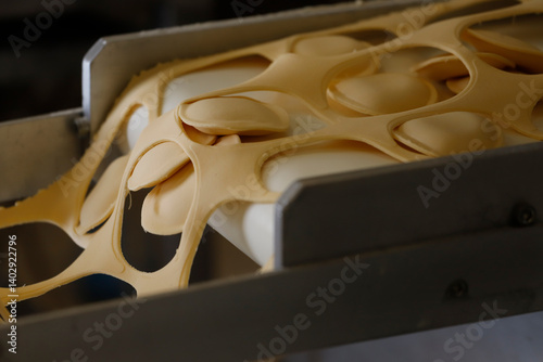 Line belt in italian pasta factory