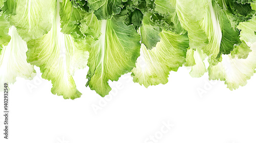 Fresh Lettuce on White Background - Clipping Path Included for Seamless Integration
