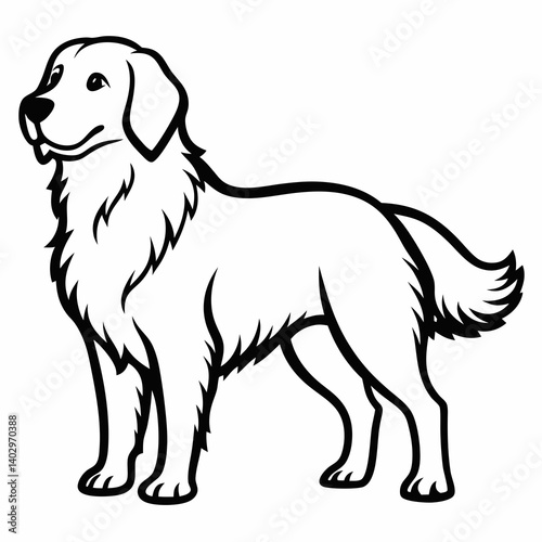 black and white outline of a popular dog breed named "Golden Retriever" on white background