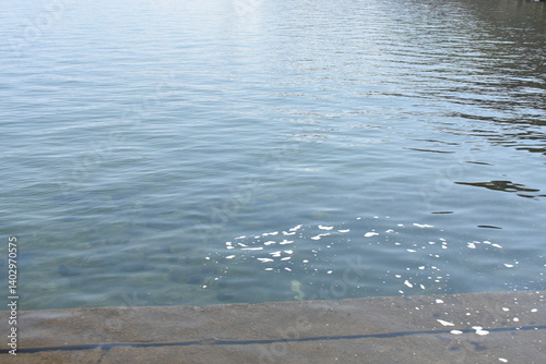 猪苗代湖の湖面