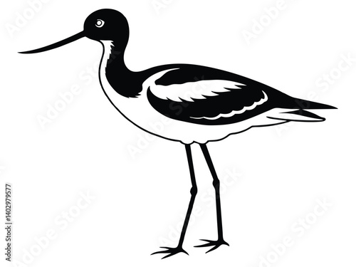 Isolated black crowned crane, a wild bird with black feathers and a prominent white beak, standing like a stork in nature