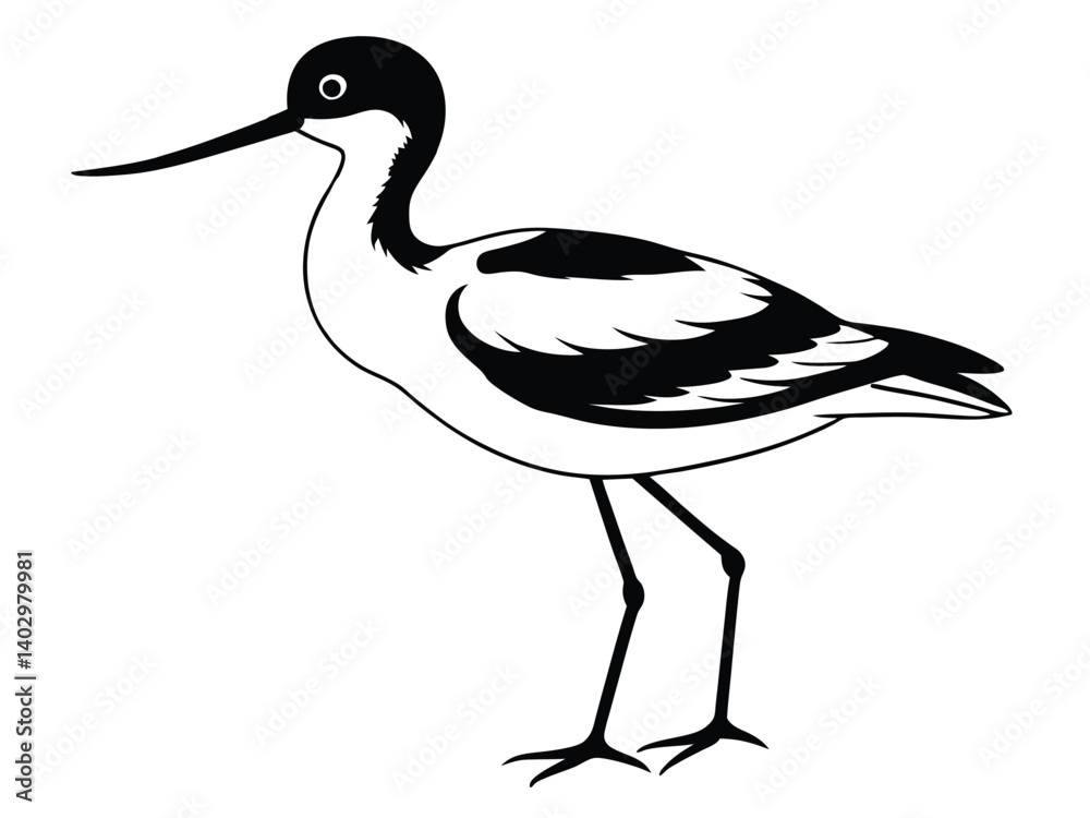 Fototapeta premium White stork bird vector illustration with a baby, a wild animal with a long beak and white feathers, isolated in nature