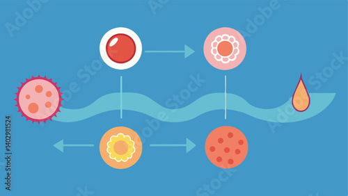 TimeLapse Growth A sequential illustration showing the progression of skin cell regeneration over time from initial damage to full recovery.