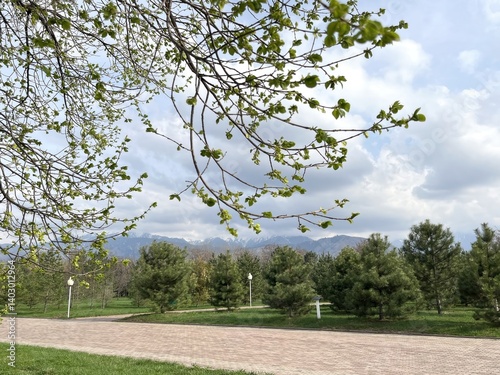 early spring tree branches with budding leaves against cloudy sky and distant mountains for seasonal nature background