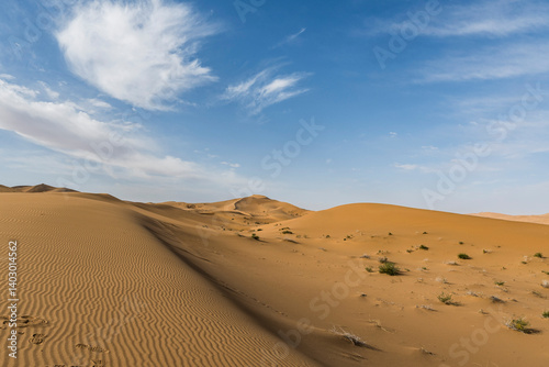 Fototapeta Naklejka Na Ścianę i Meble -  sand dunes in the desert