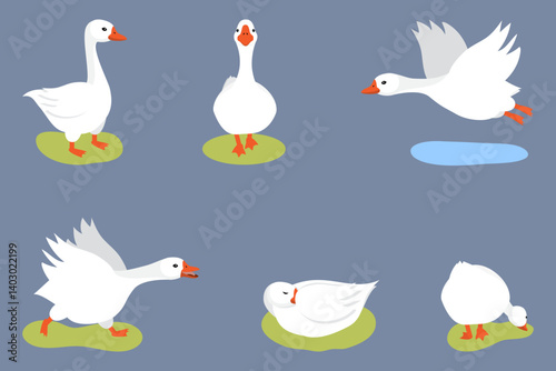 Cute geese set on grey background. Cartoon goose character running, attacking, sleeping, flying, walking and nibbling grass. Simple, flat vector.