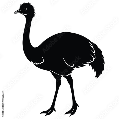 Isolated vector ostrich, a large flightless bird with long neck and prominent beak