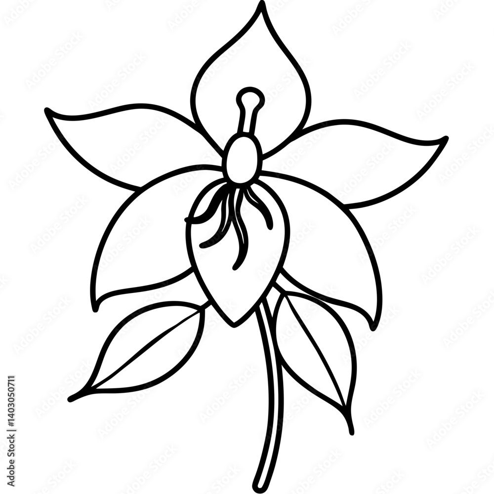 Fototapeta premium black and white flower