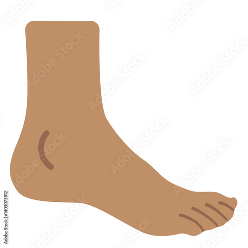 Foot
