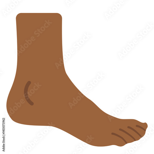Foot
