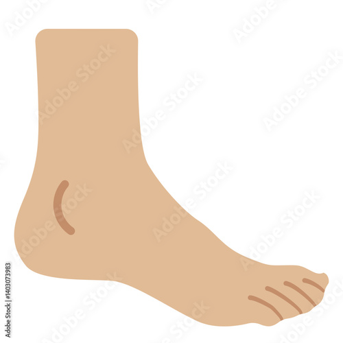 Foot
