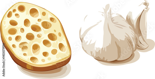garlic vector art