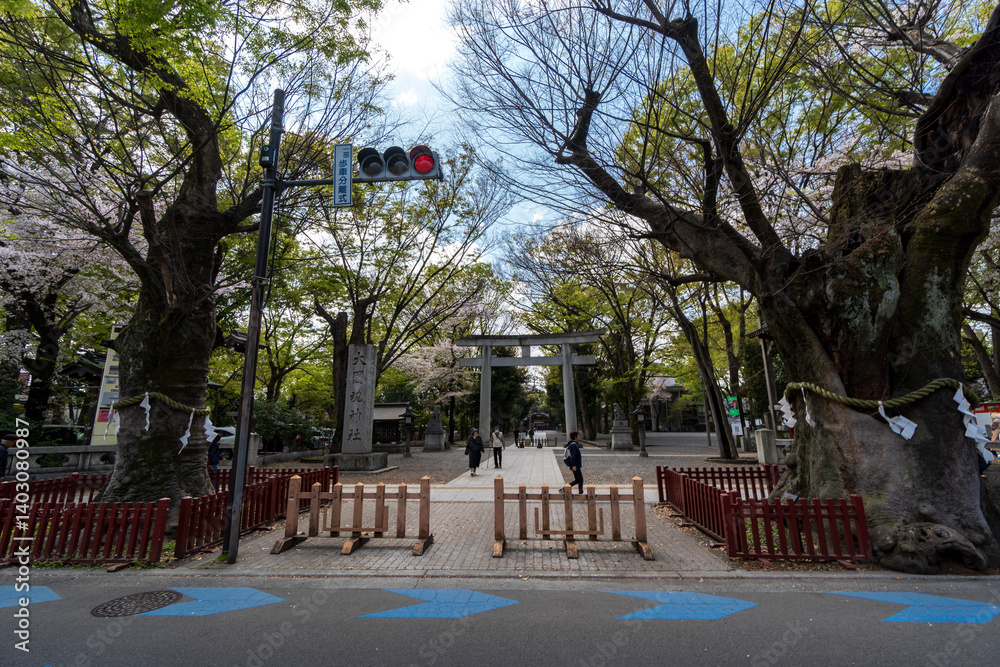 Naklejka premium 大国魂神社 府中市 東京都
