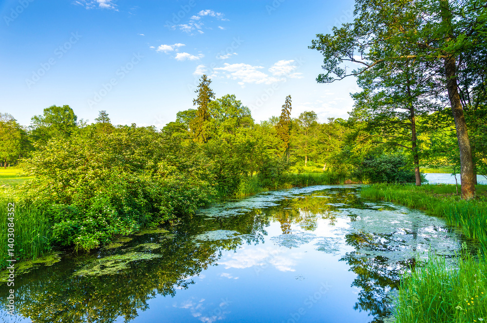 pond in the park