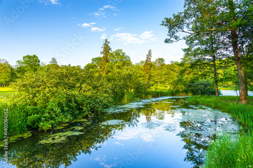 pond in the park
