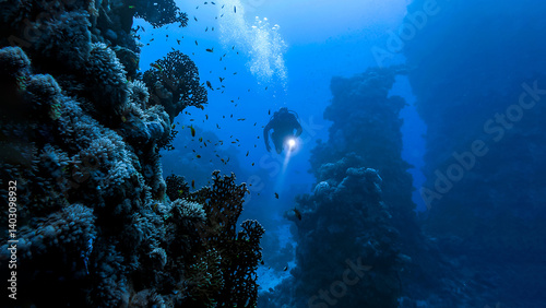 Obraz na płótnie scuba diver and underwater world w salonie
