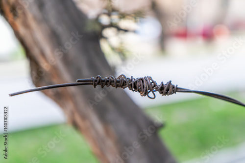 This close-up image showcases a tightly twisted piece of metal wire, joined in a handmade, rustic knot. The background features a soft blur of a tree trunk and natural elements