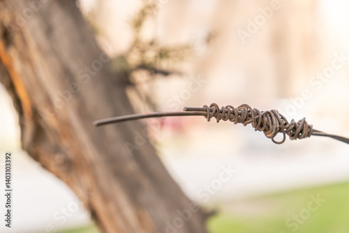 This close-up photograph captures a piece of rusty twisted wire suspended in front of a blurred natural background. The wire, knotted and corroded with age, stands in sharp focus