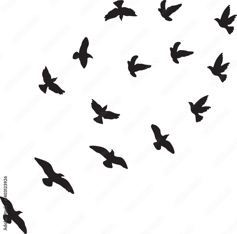 set of flying eagle vector. set of flying eagle vector.