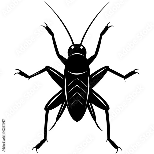 Isolated vector insect illustration featuring a black bug and a brown spider