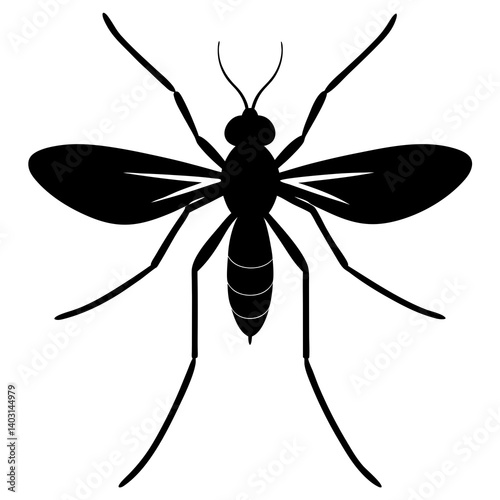 Gnat silhouette vector illustration 
