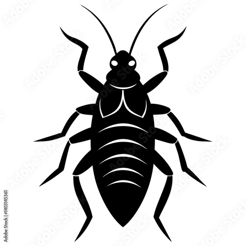Head louse silhouette vector illustration 