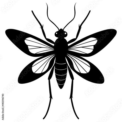 Phantom midge silhouette vector illustration 