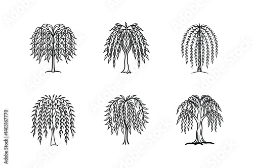 willow line art vector illustration