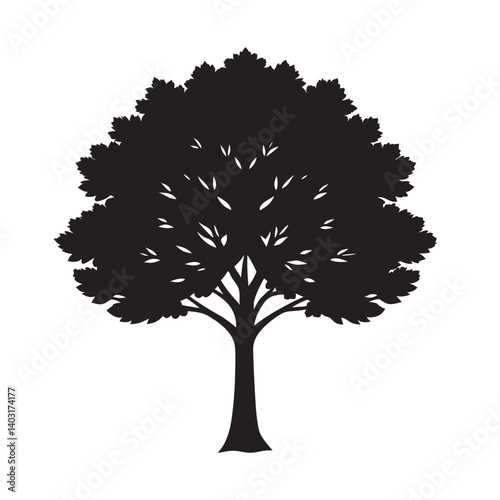 Beech tree silhouette for forest vector art