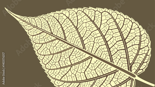 leaf on black