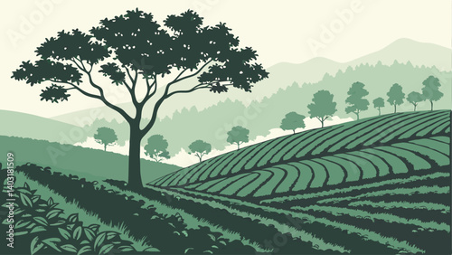 vineyard in tuscany