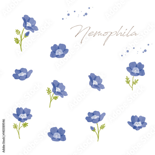 ネモフィラの手描き水彩画イラストセットベクター