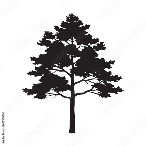 Larch tree silhouette for alpine nature concepts