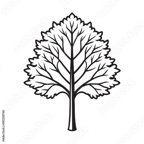 Poplar tree silhouette for natural outdoor themes