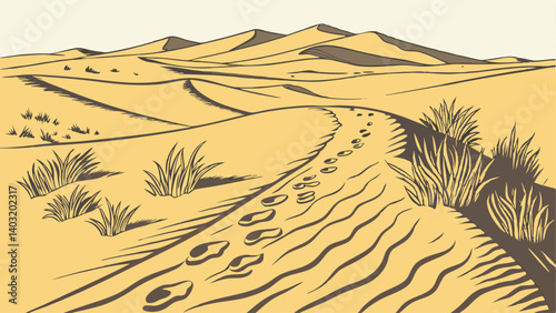 sand dunes in the desert