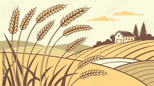 field of wheat