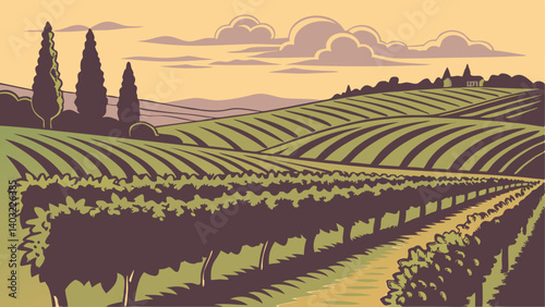 vineyard in tuscany
