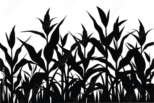 A corn field silhouette vector illustration on white background 