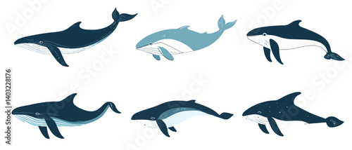 Whale vector illustration set ocean animal drawing marine life graphic art