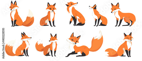 Fox illustration set vector art orange animal design cute wildlife images
