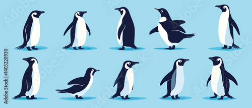 Penguin vector illustration set antarctic bird group graphic design art