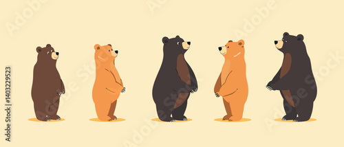 Cartoon bears illustration standing animal wildlife art vector design image