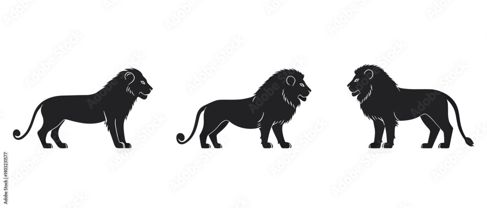 Obraz premium Three majestic lions vector illustration for logo and graphic design use