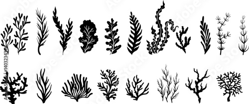 Undersea or aquarium decoration elements.  Underwater plants, corals, reef and deep marine inhabitants. Black vector silhouettes.