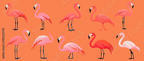Flamingo illustration with vibrant pink birds for tropical summer design