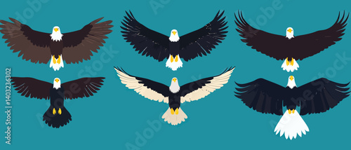Eagle illustration vector flying bird of prey bald eagles design graphic