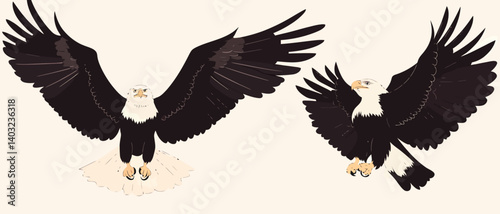 Eagle vector illustration majestic bird of prey flying bald eagle artwork