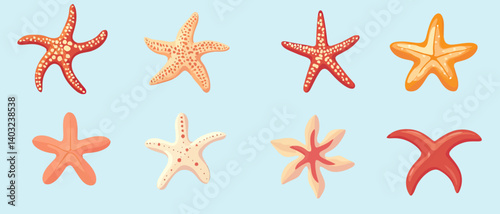 Starfish sea life ocean marine aquatic summer beach vacation ocean sea stars