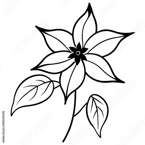 Sweet Autumn Clematis Vector – Printable Floral Clipart for DIY & Crafts