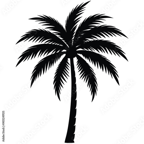 silhouette of palm tree